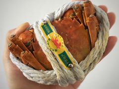 -南沙十九涌渔人码头-南门