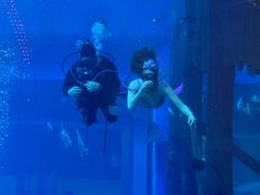 -迪拜水族馆及水下动物园