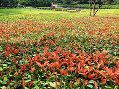 -上海不夜城广场(上海不夜城金融大厦店)