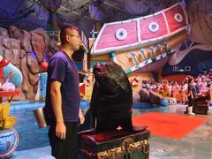 -烟台海昌鲸鲨海洋公园