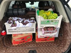 -西郊国际农产品交易中心