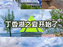 -丁香湖公园