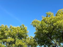 -白水寺森林公园