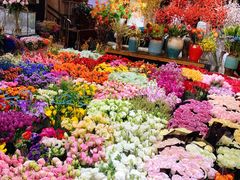 -双季花艺园艺市场(浦东店)