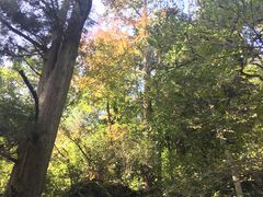 -东天目山风景区