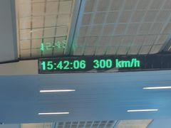 -龙阳路磁悬浮列车总站-停车场