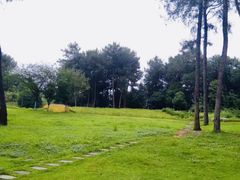 -铁山坪森林公园