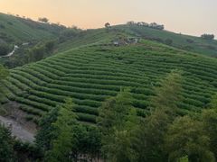 -天目湖御水温泉·度假酒店