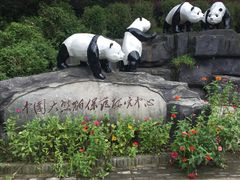-都江堰中华大熊猫苑