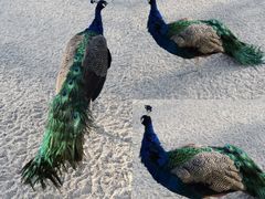 -韶关经律论国际酒店温泉