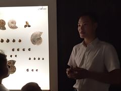 -青岛贝壳博物馆