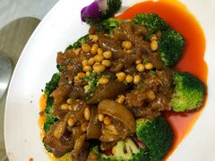 红煨牛掌-闻道食府烙饼卷带鱼(原车耳营店原大觉寺店)