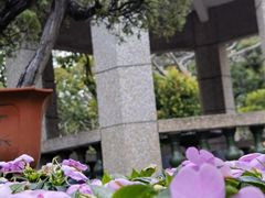 -中山公园