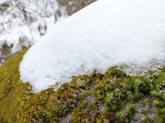-青峰峡国家森林公园