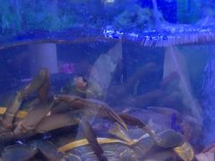 -七欣天香辣蟹火锅(上海银亿滨江店)