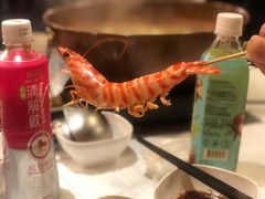 花竹虾-鲜入围煮花胶鸡海鲜火锅