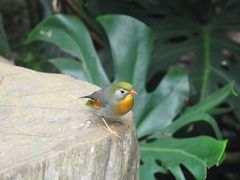 -大连森林动物园