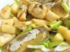 -新南华大酒店(长寿店)