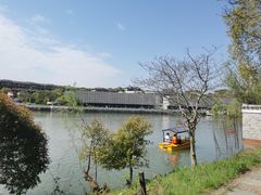 -八大山人梅湖景区