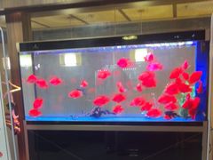 -臻享养生·SPA·影院式足道(汇臻店)