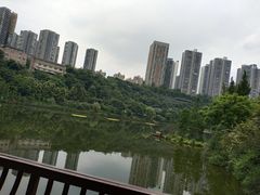 -重庆彩云湖湿地公园