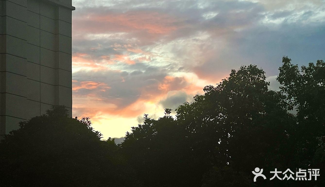 夏天的菠菜面绝了～