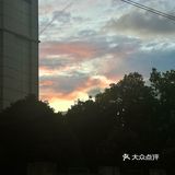 夏天的菠菜面绝了～