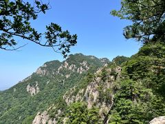 -王顺山国家森林公园