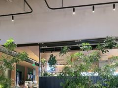 -gaga(深圳福田星河COCO Park店)