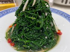 -丝宴·凤城印象·西北特色菜(彩虹湾店)