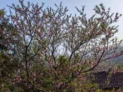 -龙潭生态旅游度假区