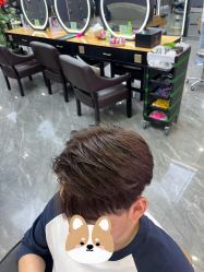 -藤野造型烫染