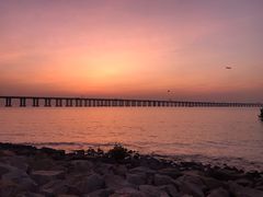 -宝安西湾红树林湿地公园