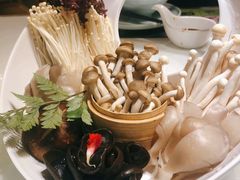 -洪氏嗨捞·猪肚鸡火锅(阳光天地店)