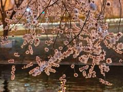 -安定门(地铁站)