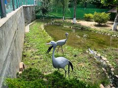 -西霞口神雕山野生动物世界