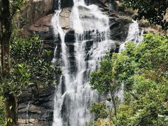 -海南热带雨林国家公园吊罗山景区