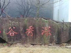 -四明山国家森林公园