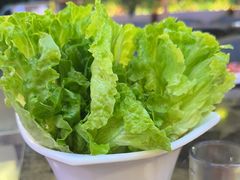 生菜-潮德阿水牛肉火锅(深圳总店)