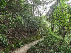 -岳麓山风景名胜区