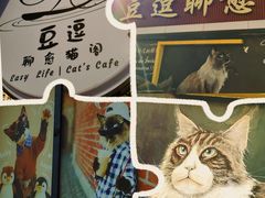 -豆逗聊愈猫阁Easy Life