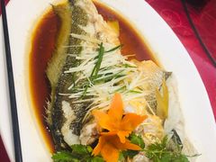 -海岛渔村大酒店(云霄路店)