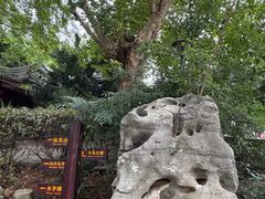 -白沙古井