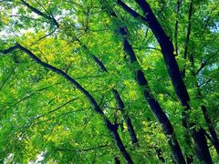 -楠溪江风景名胜区