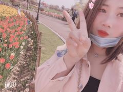 -荷兰花海