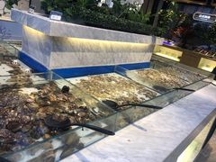 -川骄海鲜自助(河东店)