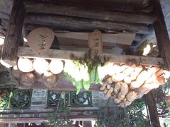 iphone_upload_pic-五邑人家(江门店)