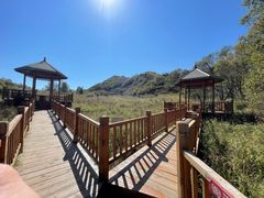 -白草畔自然风景区