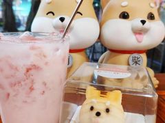 -柴犬高等学院·狗咖·柴犬售卖·宠物训练