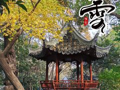-秋霞圃